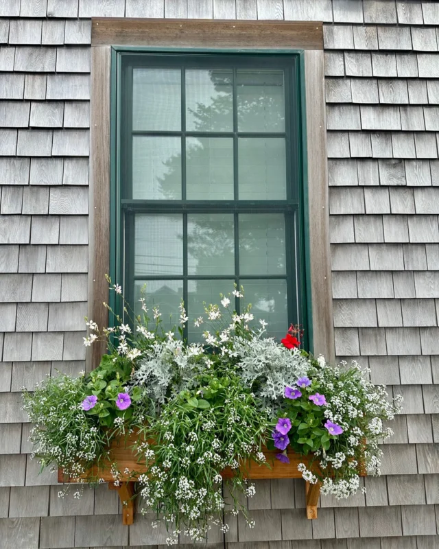 CIVIC IMPROVEMENTS AND GRANTS APPLICATION DEADLINE IS JULY 15.

These lovely window boxes were funded with a grant from the Nantucket Garden Club at the Nantucket Community Sailing dormitory.

For over 60 years, the Nantucket Garden Club has raised funds to provide grants to foster local interest in gardening, horticulture and landscape design and to improve the quality of the environment through land conservation and ecological initiatives.

The Club’s Community Grant Program responds to funding requests from community groups and organizations that meet the above criteria. These requests can be for ongoing programs or for seed money for new projects. The grants can range from a few hundred dollars to much larger amounts.

Please apply if you think that your organization's request satisfies these criteria.

Visit the link on our website for information and an application for our grant program.

Nantucketgardenclub.org

#communitygrants #Nantucket

@nantucketcommunitysailing